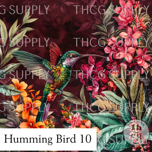 Panel -  Humming Bird 10