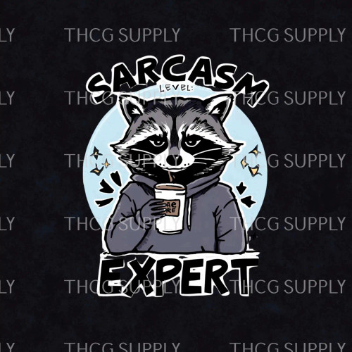 Panel - Sarcasm Expert