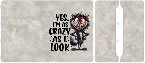 Cut and Sew - Mini Notebook Cover yes I'm crazy