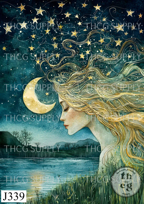 Journal Panel -J339 Ethereal Midnight Queen