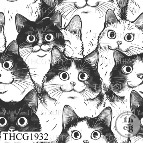 THCG1932 Fluffy Cats