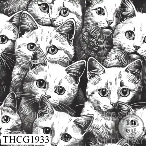 THCG1933  Cats
