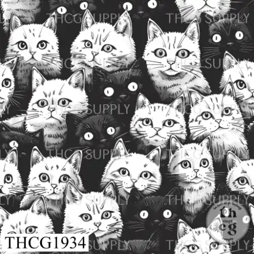 THCG1934  Cats