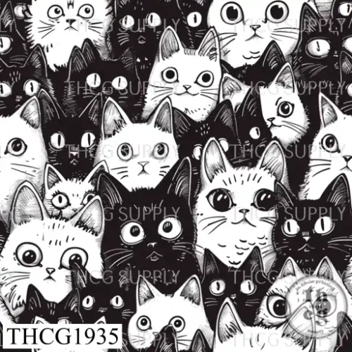THCG1935  Cats