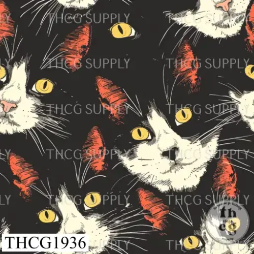 THCG1936  Cats