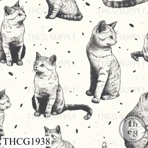 THCG1938  Cats