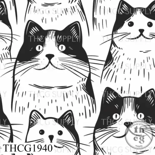 THCG1940  Cats