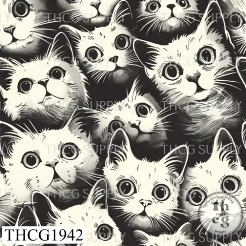 THCG1942  Cats