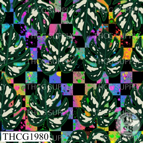THCG1980 Bright Checkers Monstera