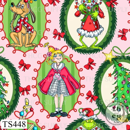 TS448 Grinch Frame P