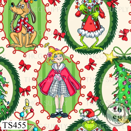 TS455 Grinch Frame