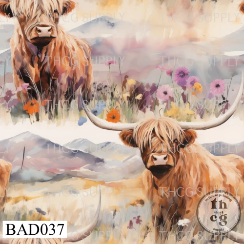 BAD037 Highland cow