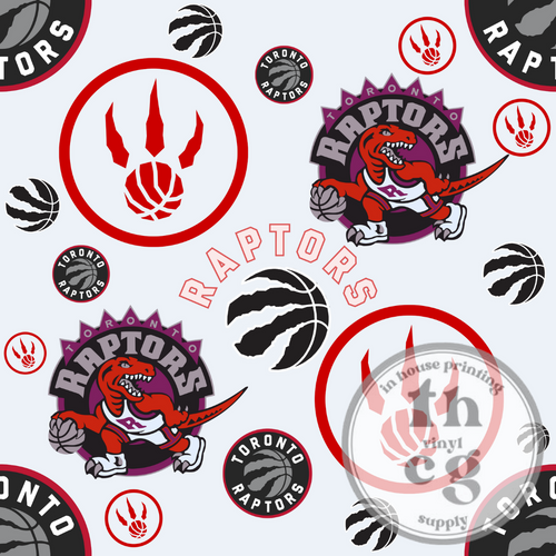 JCD040 Toronto Raptors Light Grey