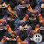 PPD434 Rooster