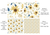 THCG999 Asian Flower (not seamless)