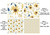 HC042 - Star T Next Gen Navy Stars