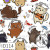 ID114 Friends Kitty Light White