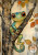 Journal Panel - J883 Frog Journal Panel - J883 Frog