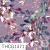 THCG1471 Wisteria