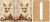 Cut and Sew - Mini Notebook Cover J345 Whimsical Desert Fox