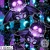 TIID062 Moth