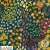 LAA021 Falling for autumn teal woods