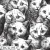 THCG1933  Cats