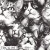 THCG1937  Cats