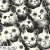 THCG1942  Cats