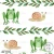 AF002 Woodland frog and snail