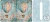 Retail - Mini Notebook Cover J317 Pastel Whimsy Meadowson Litchi Vinyl