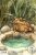 Journal Panel -J508 Lost in the wood Frog