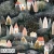 BAD036 Forest village