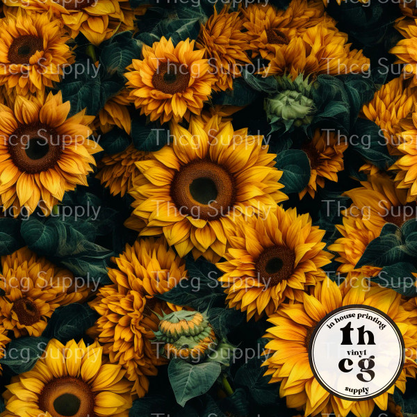 PPD556 Sunflower
