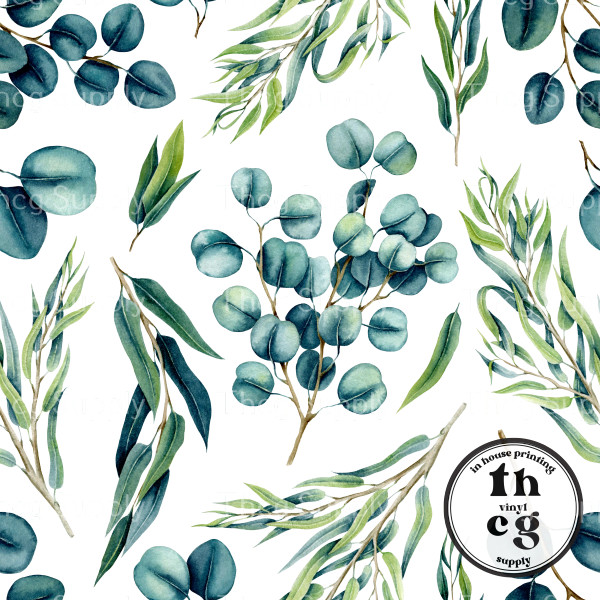#111 Eucalyptus plants