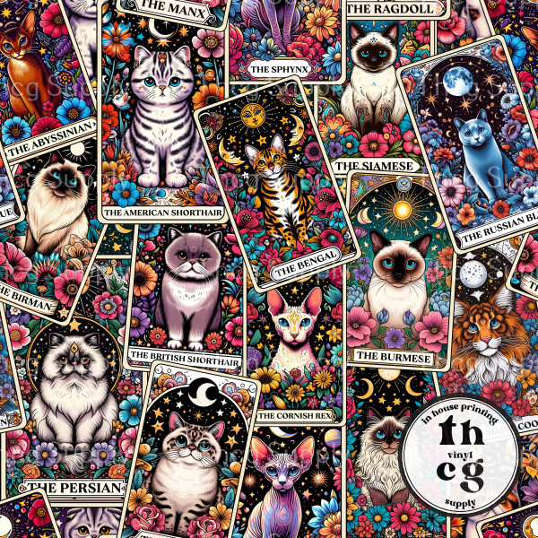 TS037 Cats Cards
