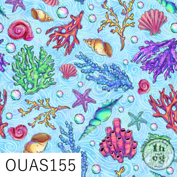 OUAS155 Coordinate #3