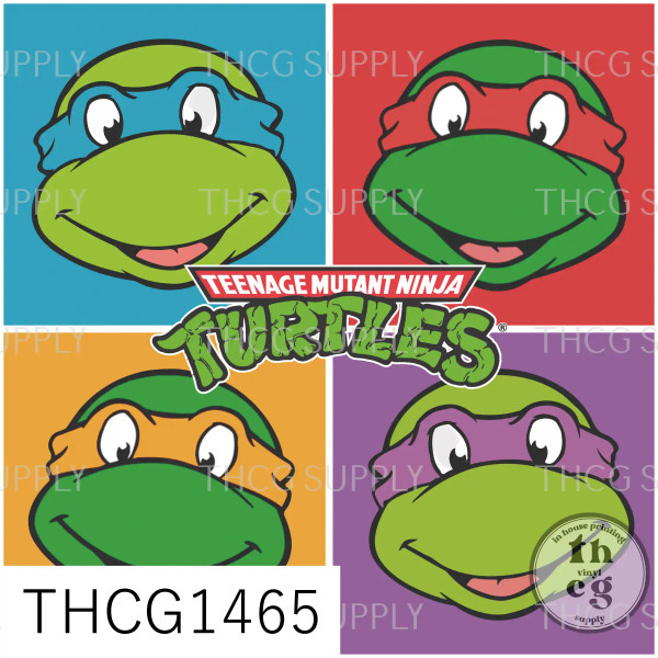 THCG1465 Pizza turtles