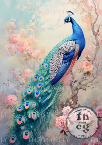 Retail Journal Panel -J839 Peacock A5 Size on Litchi Vinyl