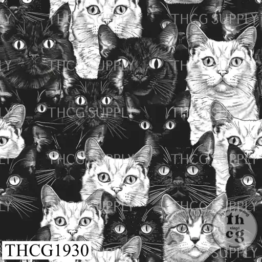 THCG1930 Cats