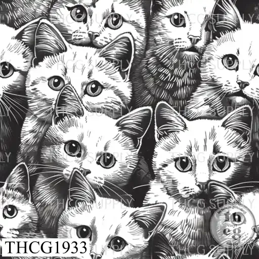 THCG1933  Cats
