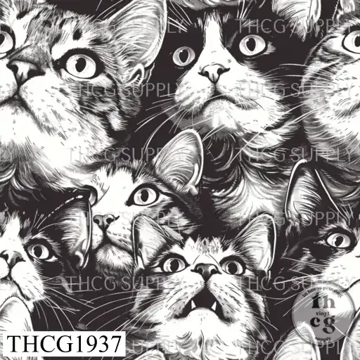 THCG1937  Cats