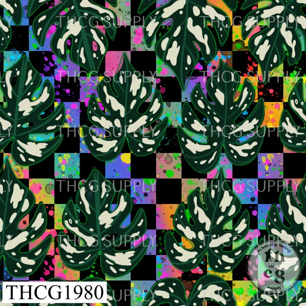 THCG1980 Bright Checkers Monstera