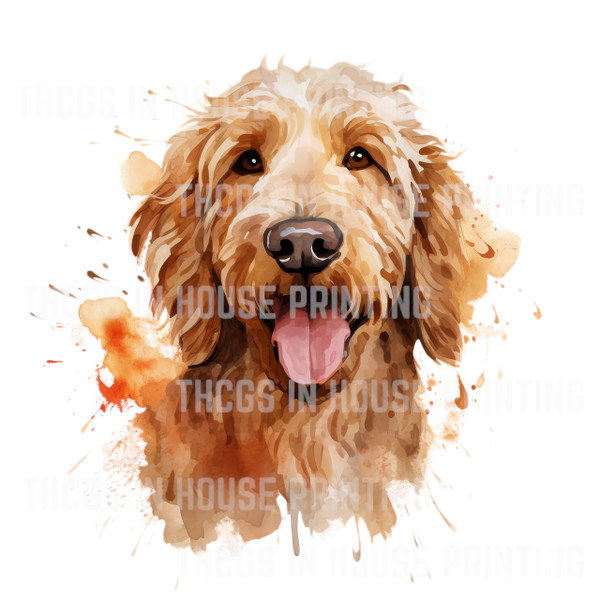 Golden Doodle #15