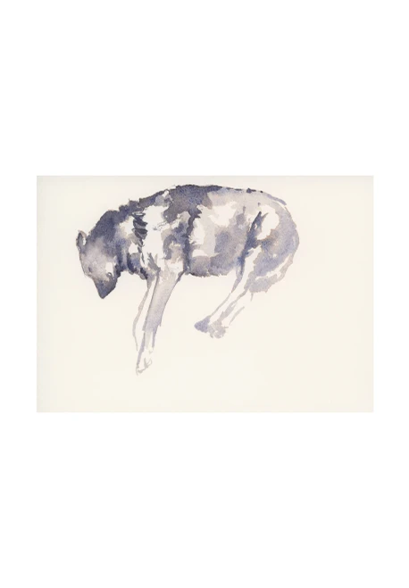 Untitled (2025811062732)