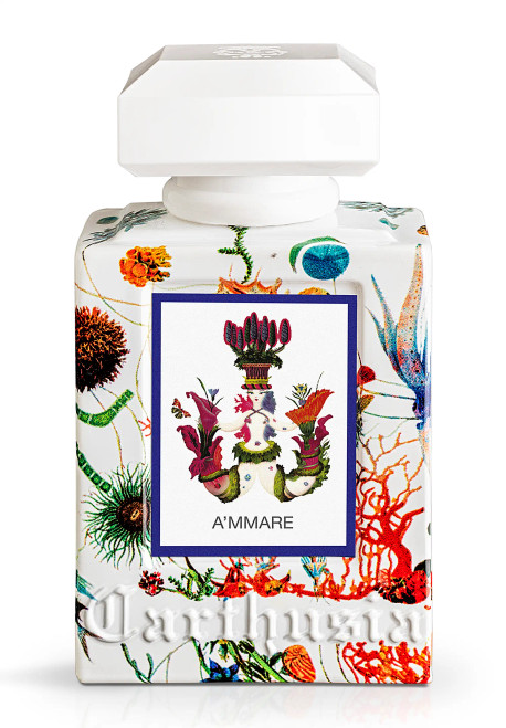 A'MMARE EAU DE PARFUM 50ml