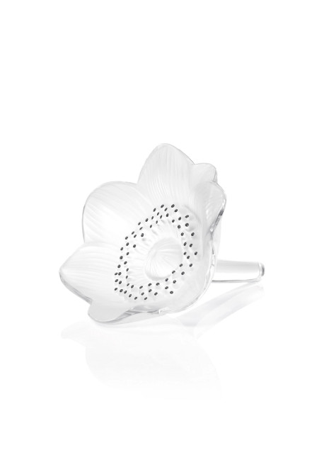 Anemone Objet MM (0090592116142)