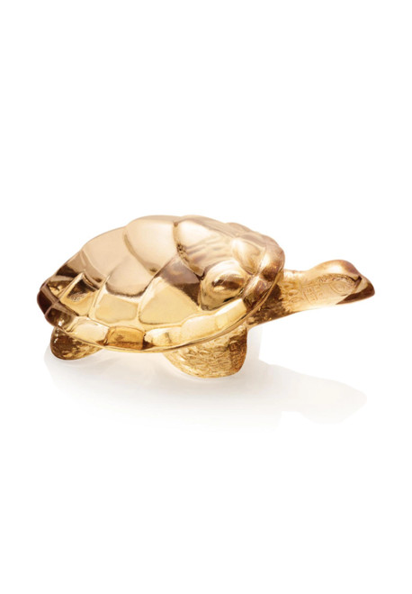 Tortue Caroline Objet (0090592966051)