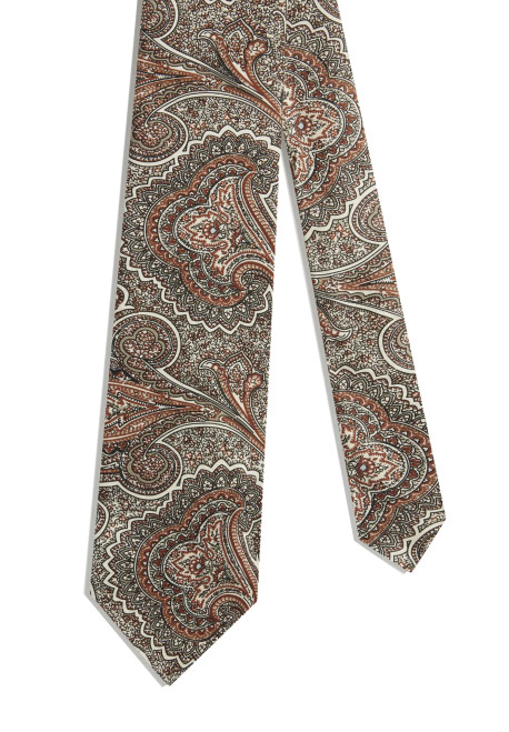 Silk Paisley S Printed Tie 9.5 (DU25RPTP6BK)