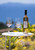 PRESTIGE Rosé 750ml